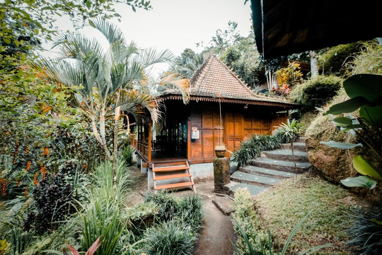 Ubud Jungle Holy Water Extérieur photo