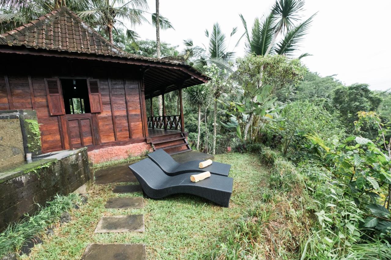 Ubud Jungle Holy Water Extérieur photo
