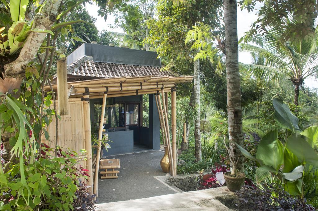 Ubud Jungle Holy Water Extérieur photo