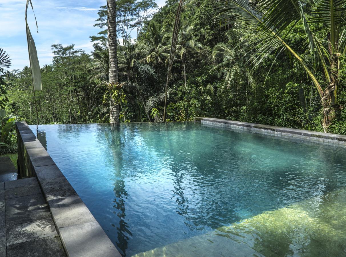Ubud Jungle Holy Water Extérieur photo