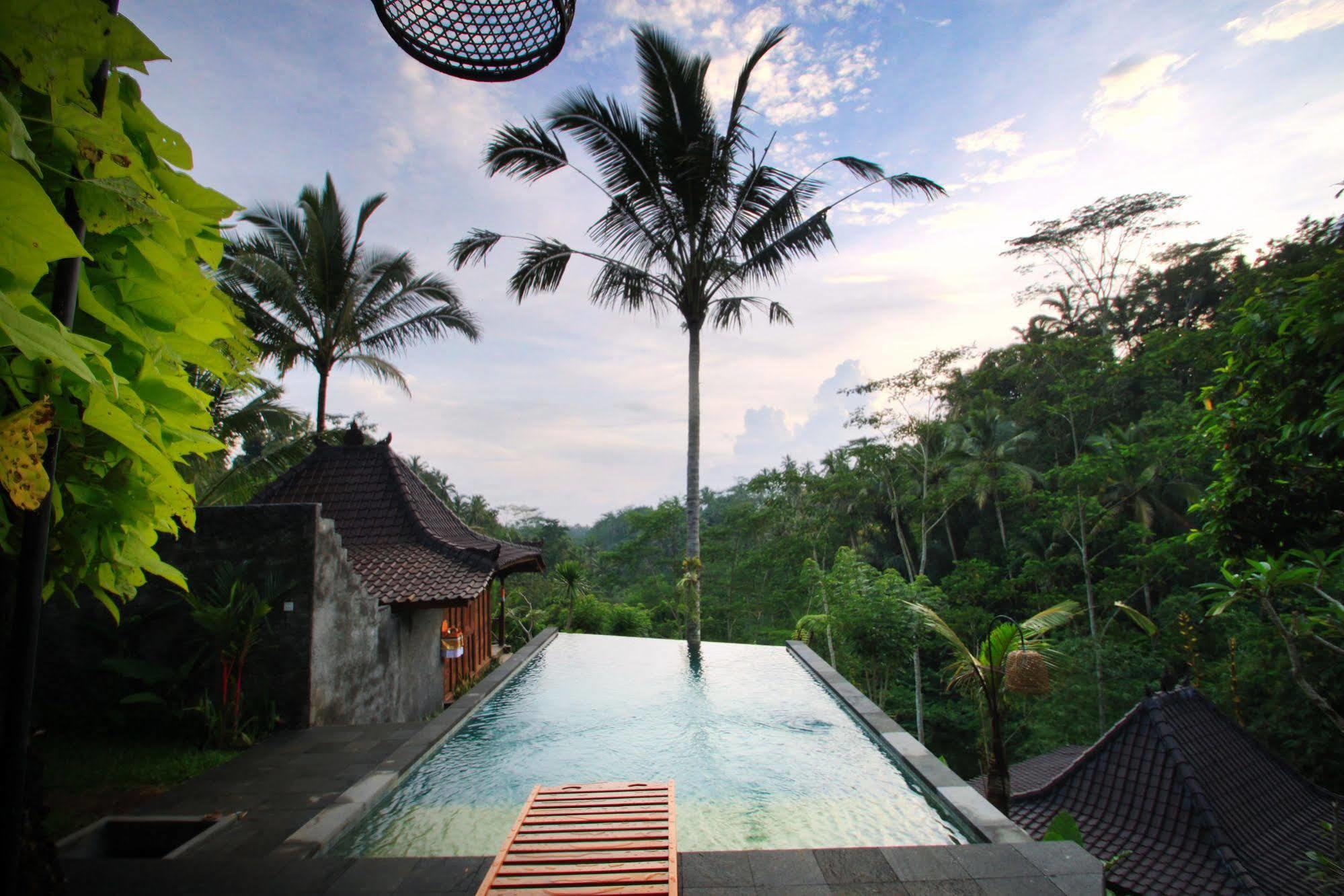 Ubud Jungle Holy Water Extérieur photo