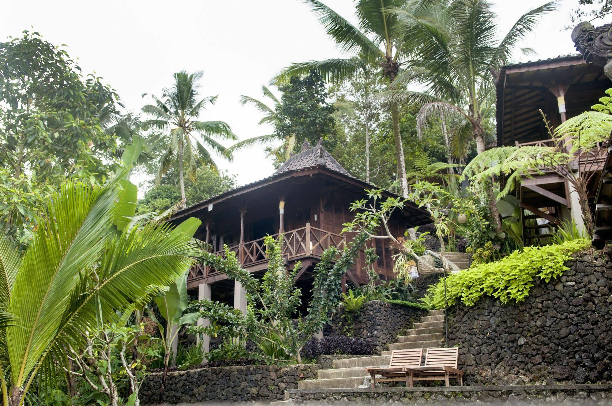 Ubud Jungle Holy Water Extérieur photo